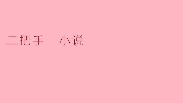 《二把手:权力阴影下的博弈与救赎》